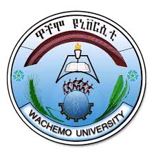 University Logo
